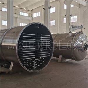 Fruit Freeze Dryer For Freeze Dried Durian Production