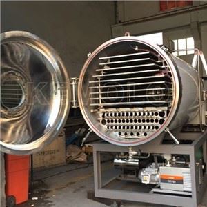 Small Pharmaceutical Freeze Dryer